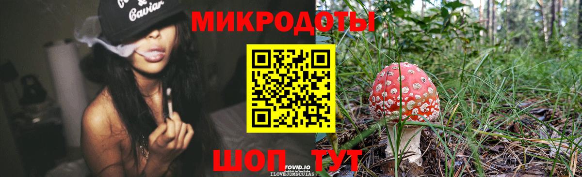 Галлюциногенные грибы Psilocybe  Вход с VPN  Омск  Псилоцибиновые грибы MAGIC MUSHROOMS 